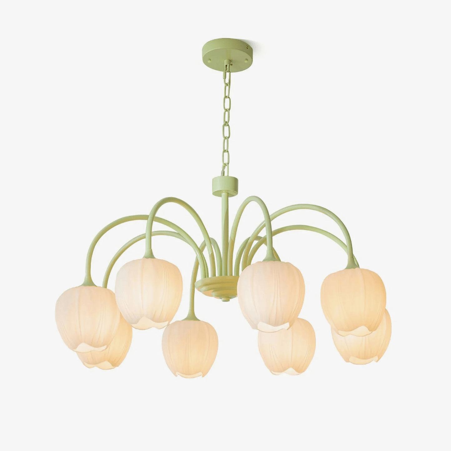 Tulip Fresh Chandeliers Glass