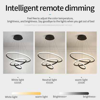 Zin Modern Ring Pendant Light, 2/3/4 Rings