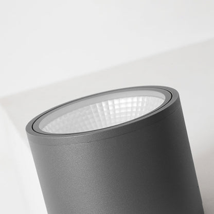 Ray Modern Black Cylindrical Flush Mount Ceiling Light Spotlight