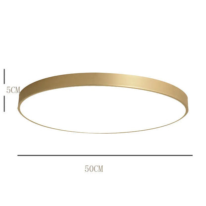 Arisha Nordic LED Gold Round Ceiling Light, Metal &