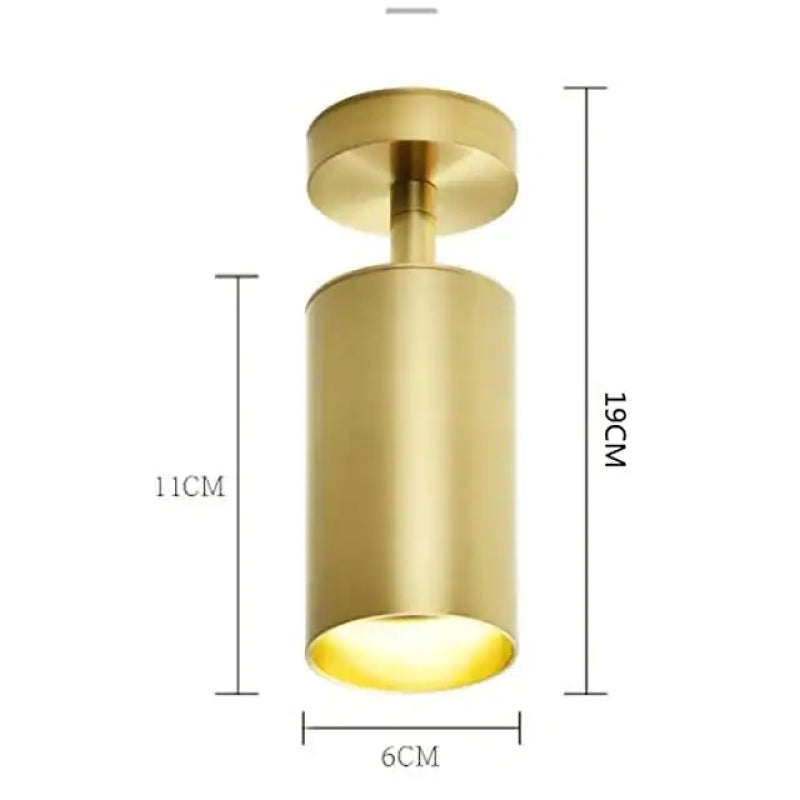 Aria Moderno Gold Cylinder Spotlight Background Flush Mount Ceiling Light, Metal