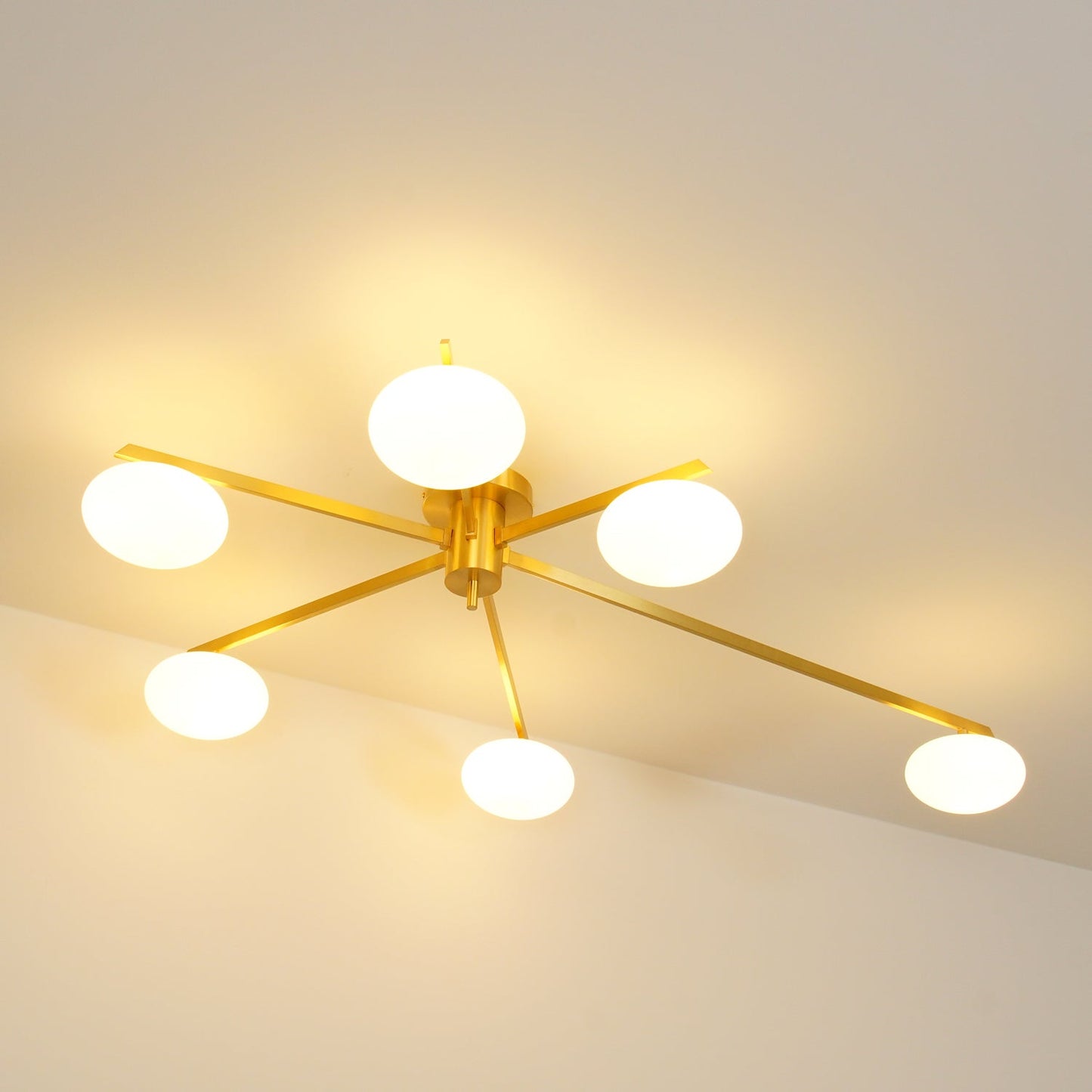Jania Modern Glass Black Ceiling Light