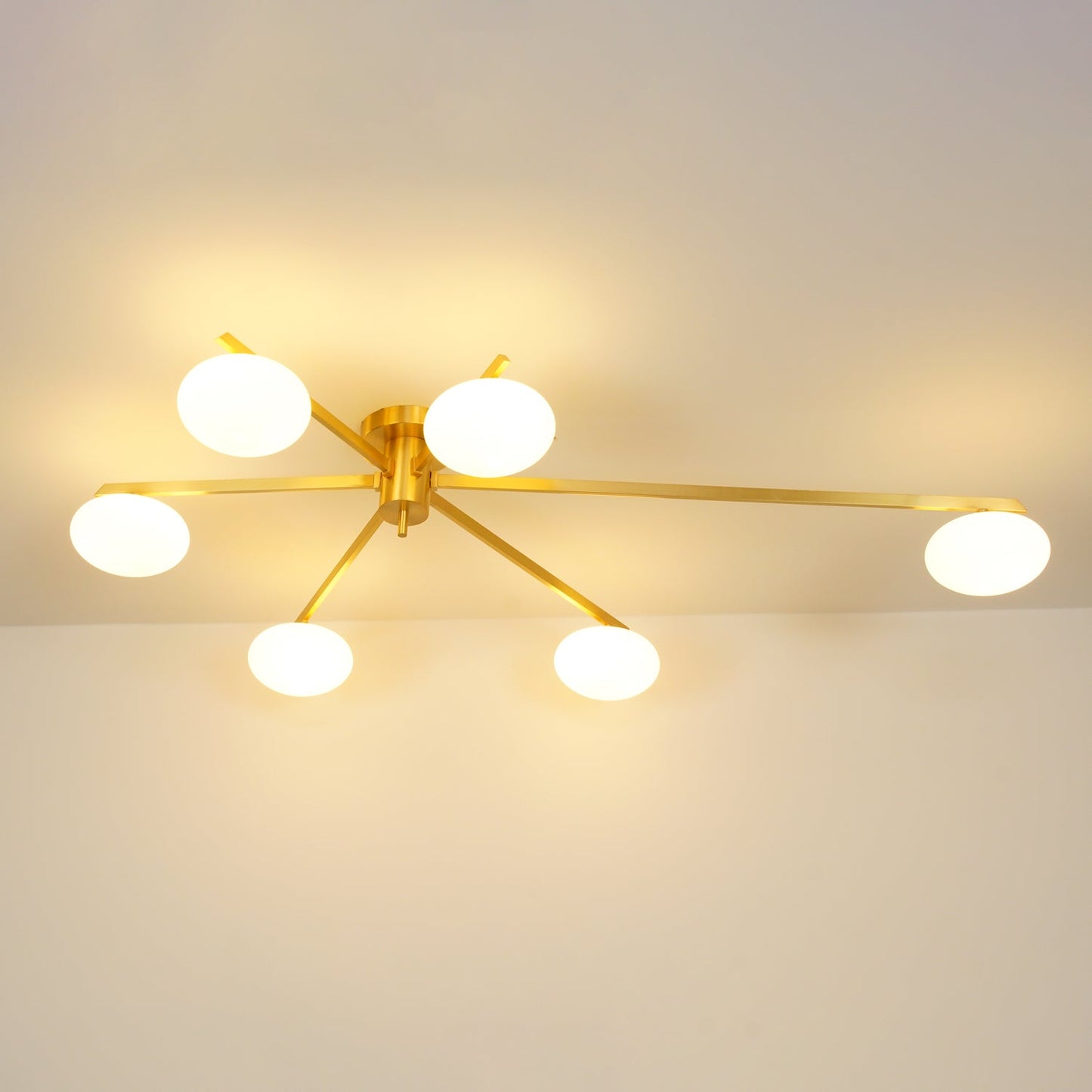 Jania Modern Glass Black Ceiling Light