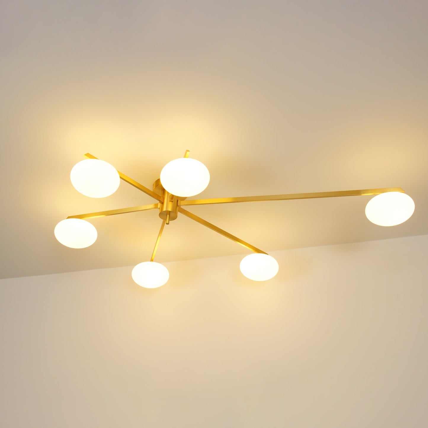 Jania Modern Glass Black Ceiling Light