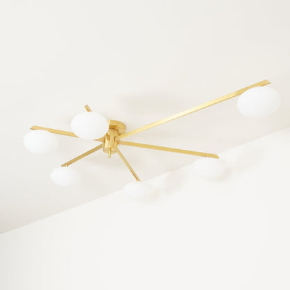Jania Modern Glass Black Ceiling Light