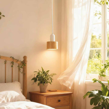 Modern Small Pendant Light White & Wood Grain Iron