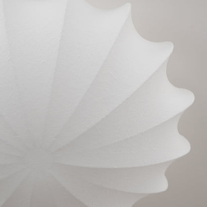 Blan Ceiling Light Seashell Simplicity