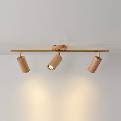 Arthur Ceiling Light Spotlight