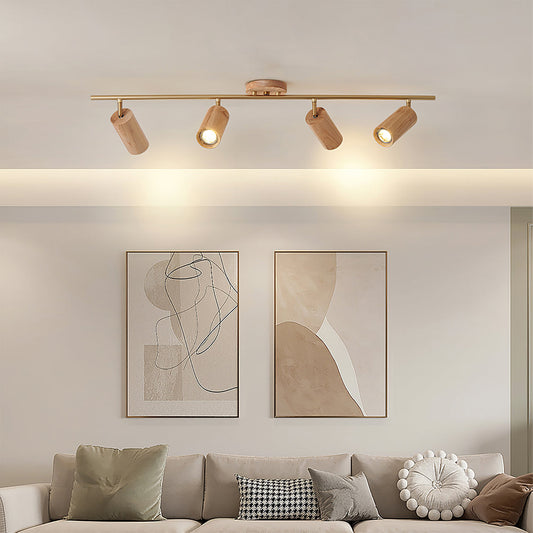 Arthur Ceiling Light Spotlight