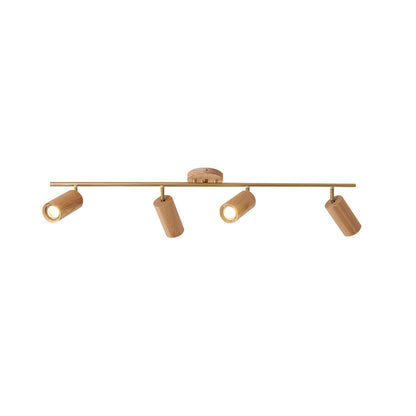 Arthur Ceiling Light Spotlight