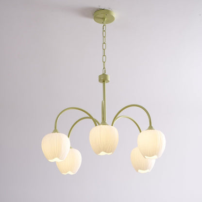 Tulip Fresh Chandeliers Glass